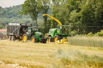 Grünschnittroggen, Ernte mit John Deere Traktor und Anhänger, John Deere Häcksler, Teil des Feldes ist bereits geerntet