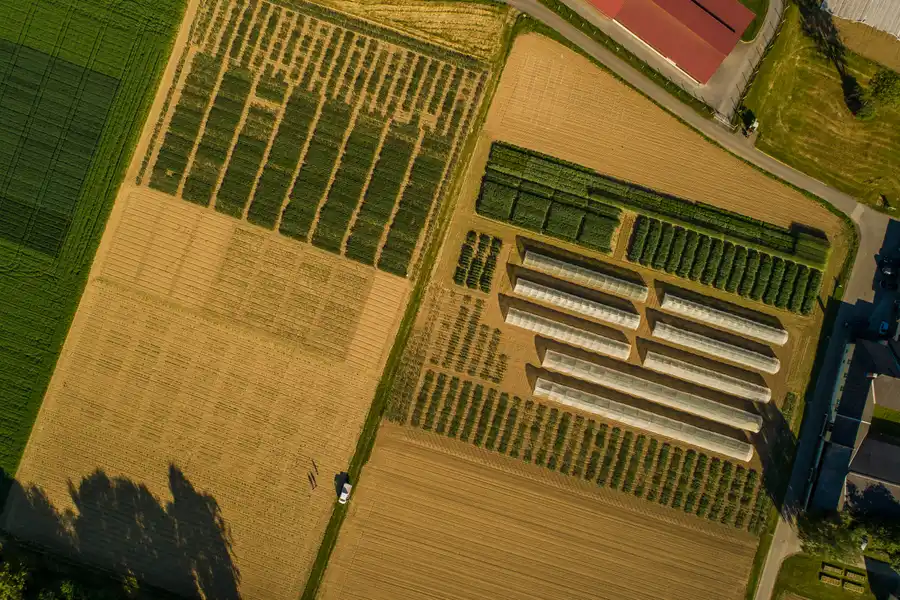 Drohnenaufnahme Versuchsparzellen und Hauptgebäude Saatzucht Gleisdorf, Vogelperspektive