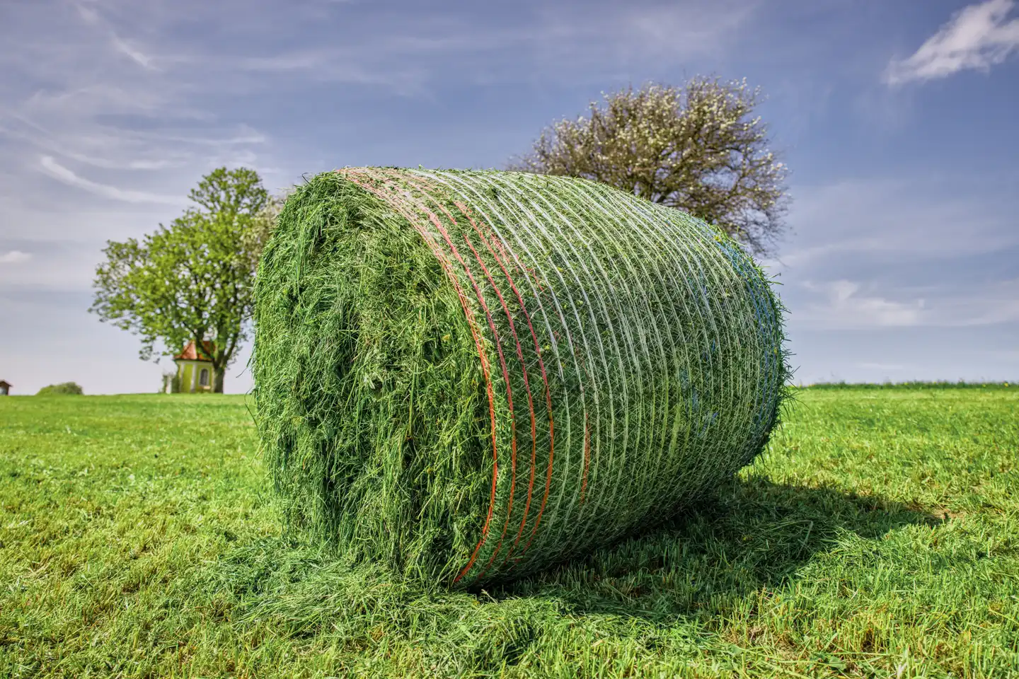 Heuballen im Grünland nach der Mahd, blauer Himmel, Bäume und Kapelle im Hintergrund, Totale