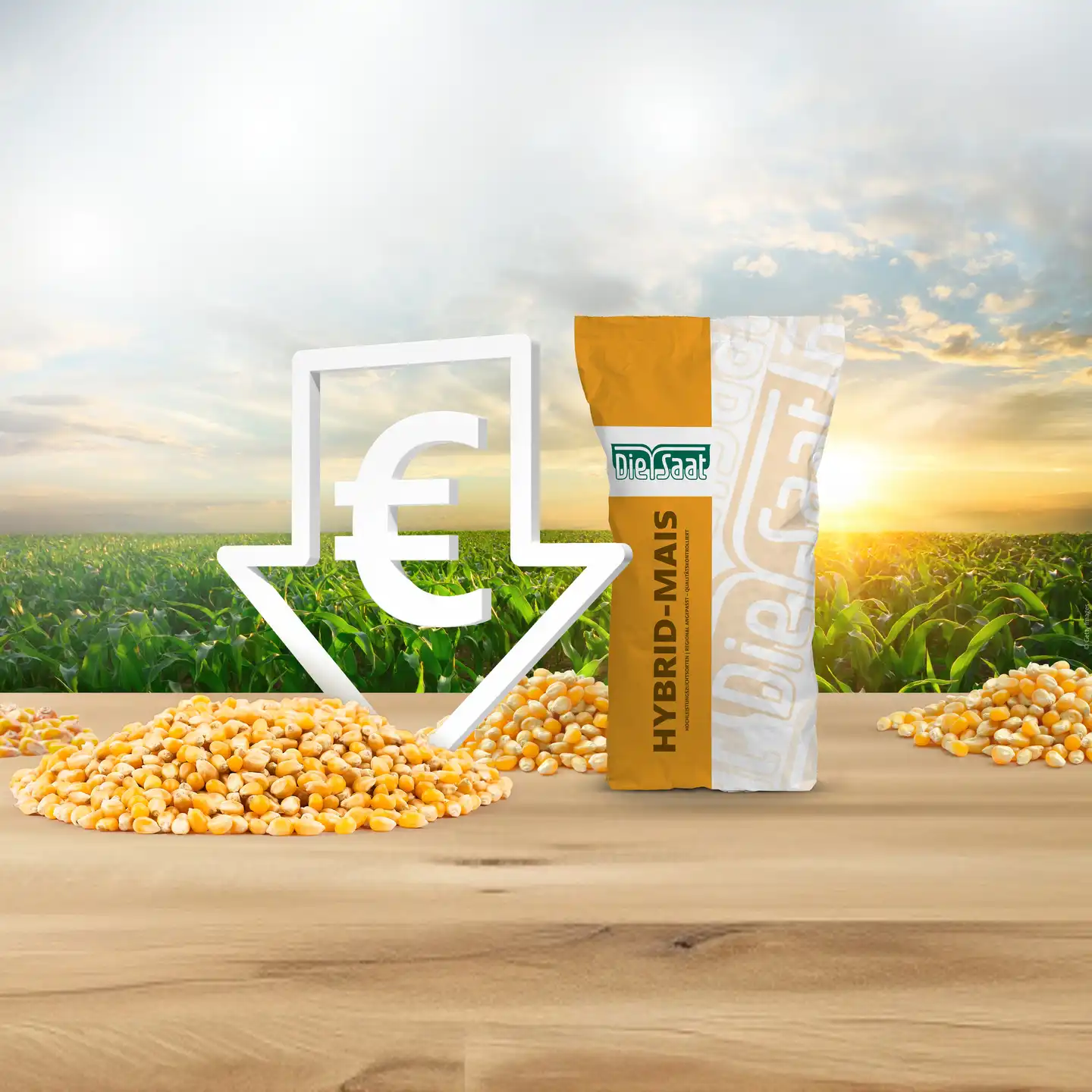 Teaserbild für Aktion "Mais-Preishammer 2026": Saatgut-Sack, Mais-Saatgut und Maisfeld sowie Preissenkungs-Icon