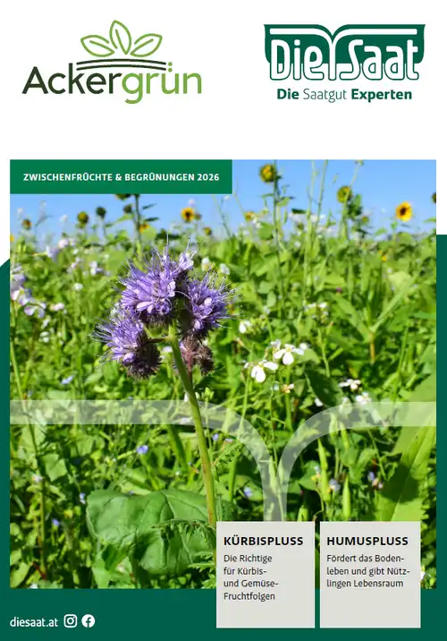 saatgut bio gemse BIO-Saatgut-Set "Gartengemse"